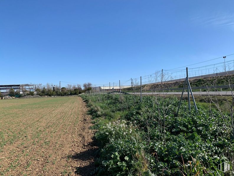 Suelo en venta en Carretera M-225, Loeches, Madrid, 28890 con cielo, planta, paisaje natural, hierba, agricultura, llano, vía pública, valla, paisaje y carretera alrededor