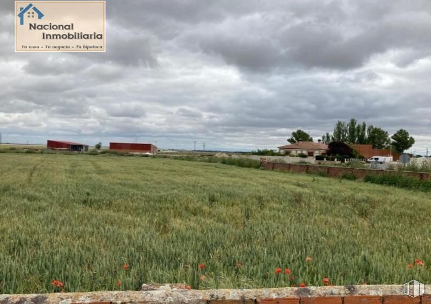 Suelo en venta en Calle Río, Montejo de Arévalo, Segovia, 40468 con nube, cielo, planta, ecorregión, paisaje natural, entorno natural, lote de terreno, hierba, árbol y pradera alrededor