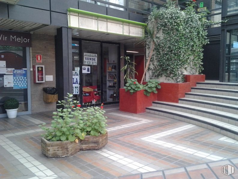 Local en venta en Centro Comercial TuttiCentro, Calle Puerto Rico, 1, Majadahonda, Madrid, 28220 con planta de interior, planta, maceta, superficie de carretera, diseño urbano, acera, edificio, fachada, suelo y ciudad alrededor