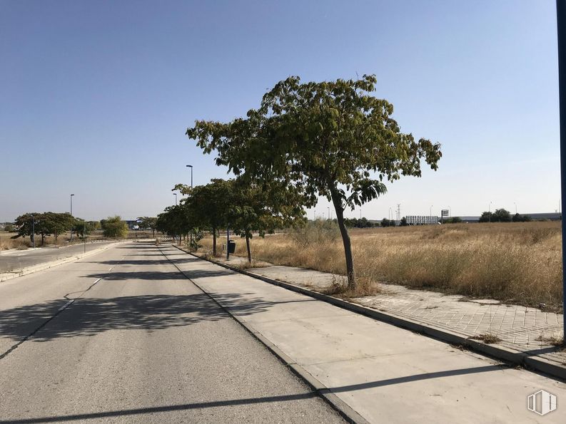 Suelo en venta en Zona industrial (PP10), Leganés, Madrid, 28914 con cielo, planta, superficie de la carretera, asfalto, rama, paisaje natural, árbol, lote de terreno, llano y vía pública alrededor