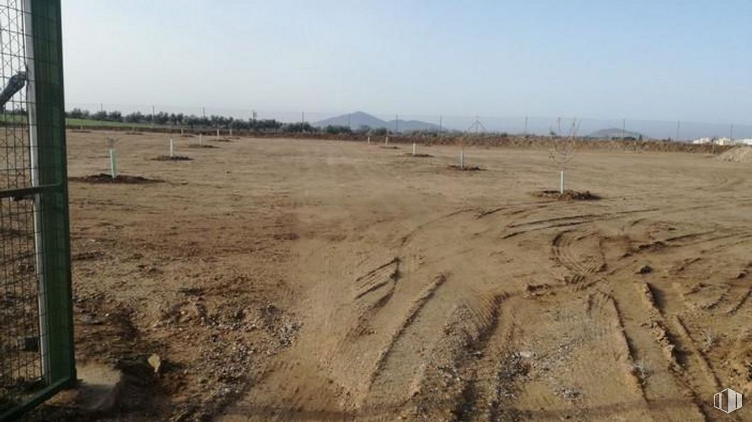 Land for sale at Camino Dehesa Vieja, Guadamur, Toledo, 45160 with sky, plant, landscape, plain, grass family, horizon, grass, grassland, tree and soil around