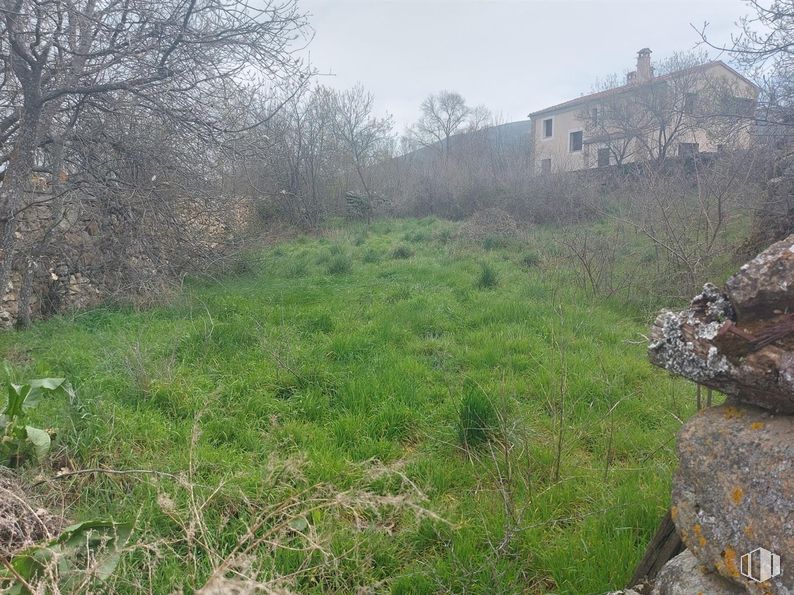 Suelo en venta en Calle Castillo, Sotosalbos, Segovia, 40170 con casa, planta, cielo, comunidad vegetal, paisaje natural, árbol, lote de terreno, hierba, pradera y cubierta vegetal alrededor