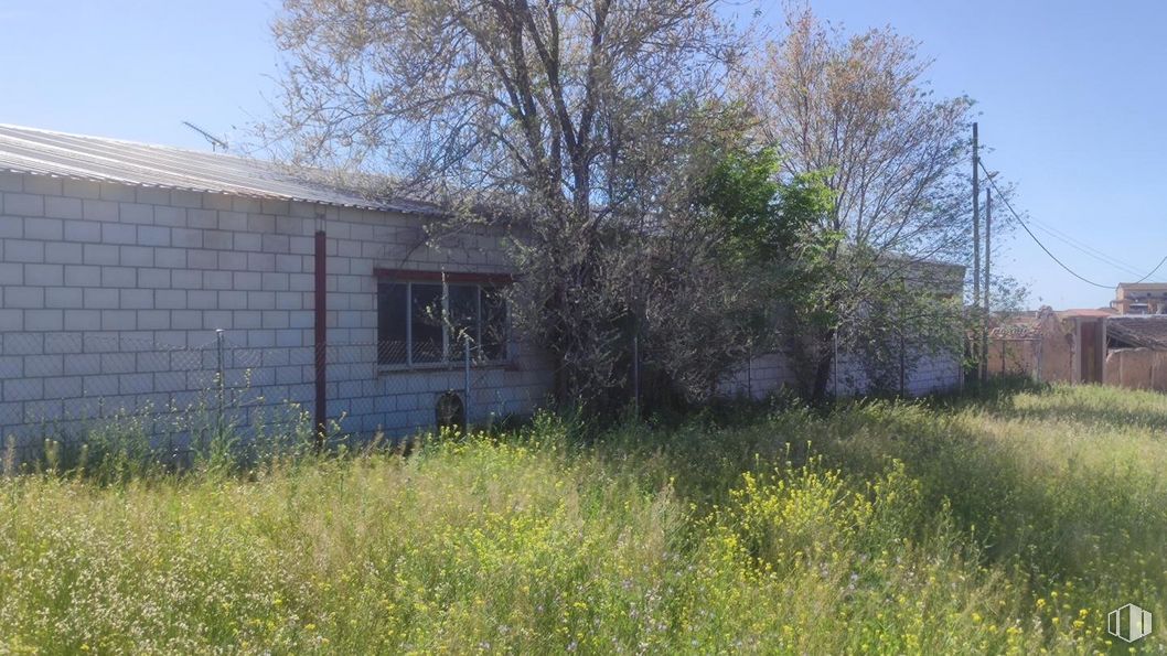 Industrial for sale at Casco urbano, Turleque, Toledo, 45789 with window, house, plant, sky, plant community, ecoregion, natural landscape, tree, land lot and grassland around