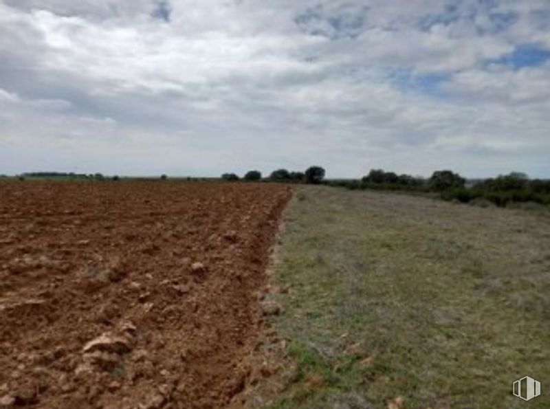 Suelo en venta en Urbanización Polígono 6, Fuentelahiguera de Albatages, Guadalajara, 19182 con nube, cielo, paisaje natural, planta, hierba, paisaje, pradera, horizonte, árbol y cúmulo alrededor