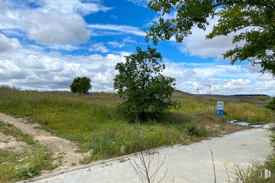 Suelo en venta en Calle Pirotecnia, 70, Vicálvaro, Madrid, 28052 con nube, cielo, planta, comunidad de plantas, azur, paisaje natural, hierba, árbol, cúmulo y arbusto alrededor