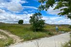 Land for sale at Calle Pirotecnia, 70, Vicálvaro, Madrid, 28052 with cloud, sky, plant, plant community, azure, natural landscape, grass, tree, cumulus and shrub around