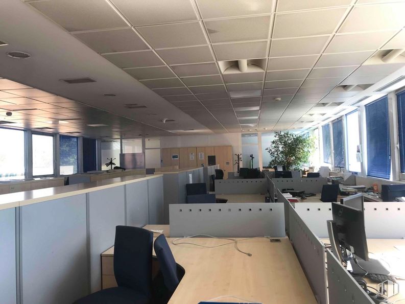 Oficina en alquiler en Polígono industrial Sur, San Sebastián de los Reyes, Madrid, 28700 con pantalla de ordenador, ventana, silla, planta de interior, planta, edificio, mesa, accesorio, alumbrado y silla de oficina alrededor