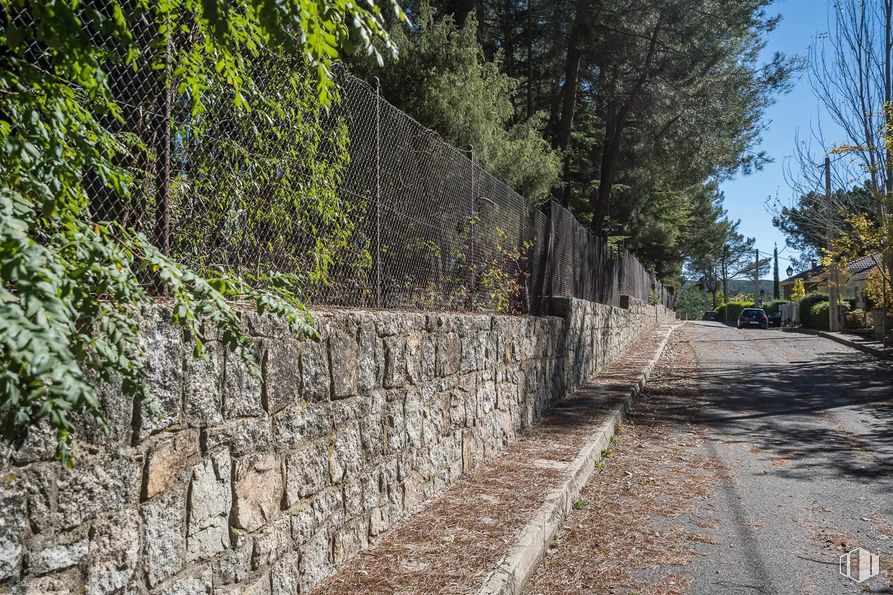 Land for sale at Calle Pino, Las Navas del Marqués, Ávila, 05239 with plant, sky, wood, road surface, slope, tree, track, grass, trunk and landscape around