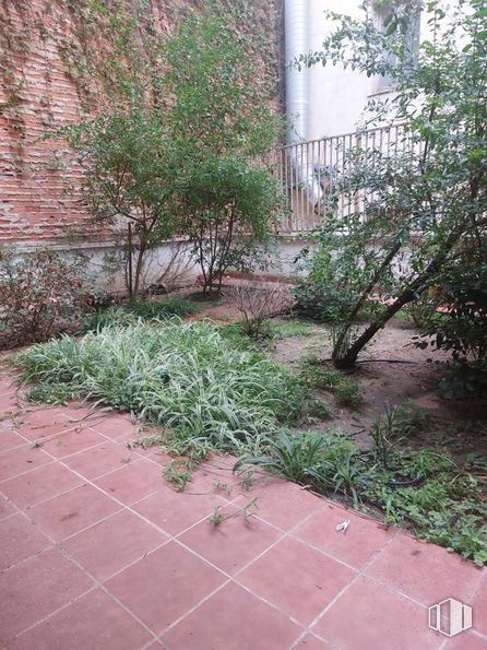 Retail for sale at Calle Doctor Santero, Tetuán, Madrid, 28039 with plant, road surface, land lot, brickwork, grass, brick, urban design, asphalt, shrub and groundcover around