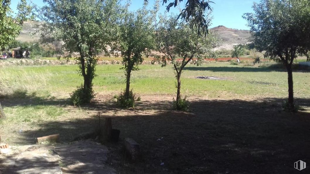 Land for sale at Zona Zarza de Tajo, Zarza de Tajo, Cuenca, 16470 with plant, sky, tree, natural landscape, land lot, shade, grass, plain, landscape and grassland around