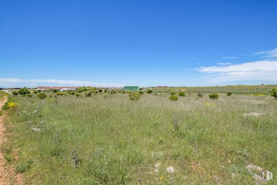 Suelo en venta en Las Zumaqueras, La Lastrilla, Segovia, 40196 con cielo, planta, nube, comunidad de plantas, paisaje natural, hierba, pastizal, paisaje, prado y planta herbácea alrededor