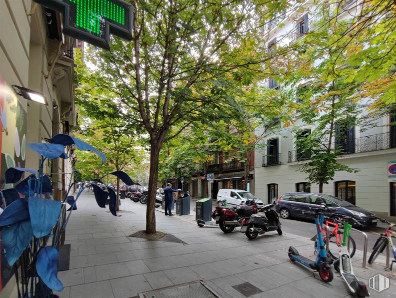 Local en alquiler en Calle Padilla, 4, Salamanca, Madrid, 28006 con edificio, neumático, rueda, planta, ventana, infraestructura, árbol, superficie de la carretera, vehículo y modo de transporte alrededor