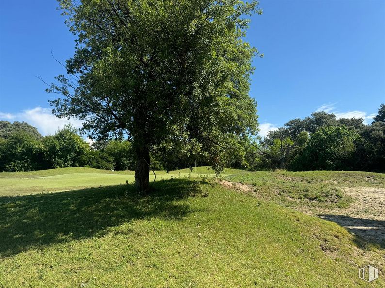 Suelo en venta en Urbanización Montepríncipe, Boadilla del Monte, Madrid, 28660 con cielo, planta, nube, paisaje natural, árbol, lote de terreno, paisaje, pradera, hierba y arbusto alrededor