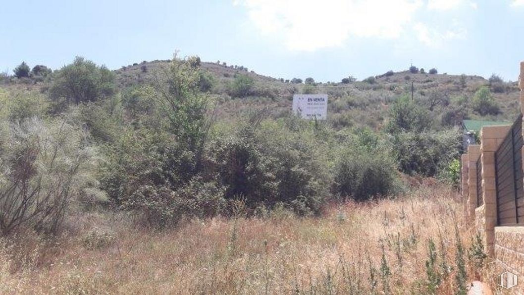 Suelo en venta en Urbanización Paraje San Antonio, Chiloeches, Guadalajara, 19160 con animal, cielo, planta, nube, paisaje natural, montaña, lote de terreno, hierba, arbusto y paisaje alrededor