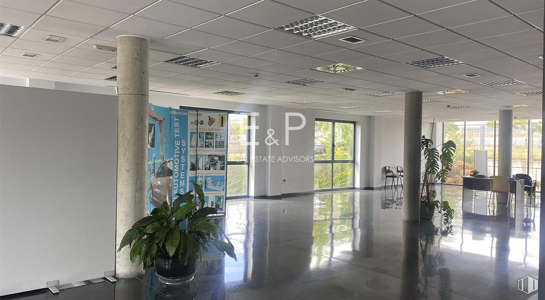 Oficina en alquiler y venta en Calle Margarita Salas, Leganés, Madrid, 28919 con planta de interior, planta, maceta, accesorio, suelo, suelos, edificio, puerta, techo y vidrio alrededor