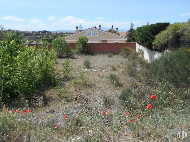 Land for sale at La Encarnación, Ávila, 05005 with plant, sky, property, cloud, ecoregion, window, building, natural landscape, tree and land lot around