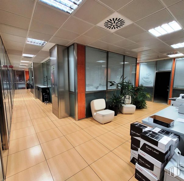 Office for sale & for rent at Calle María Tubau, Fuencarral - El Pardo, Madrid, 28050 with chair, houseplant, property, plant, interior design, flooring, fixture, floor, flowerpot and real estate around