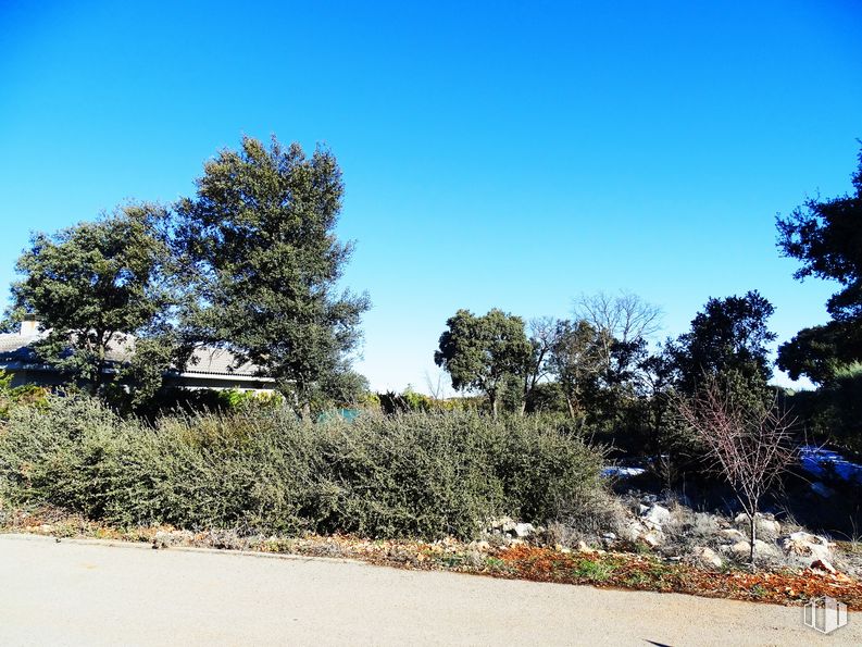 Land for sale at Urbanización las Suertes, Pioz, Guadalajara, 19162 with sky, plant, cloud, natural landscape, road surface, asphalt, tree, landscape, mountainous landforms and tar around