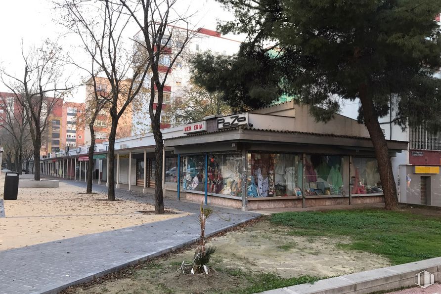 Local en alquiler en Calle Manojo Rosas, 44, Villaverde, Madrid, 28041 con edificio, animal, planta, árbol, ventana, superficie de carretera, diseño urbano, barrio, cielo y acera alrededor