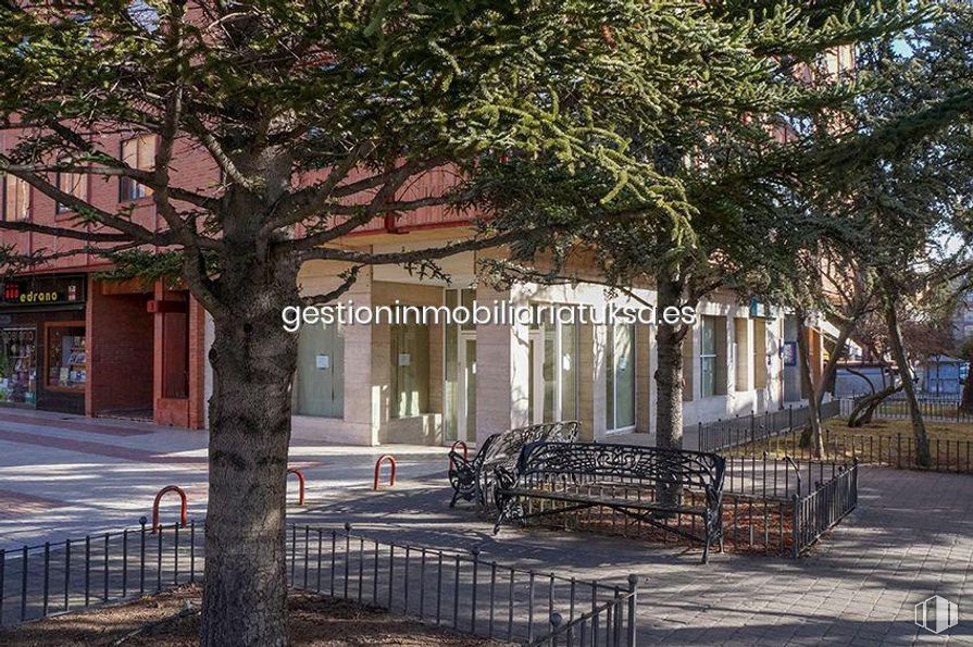 Retail for rent at Plaza de Santa Ana, Ávila, 05001 with bench, building, tree, road surface, branch, shade, urban design, plant, neighbourhood and sidewalk around