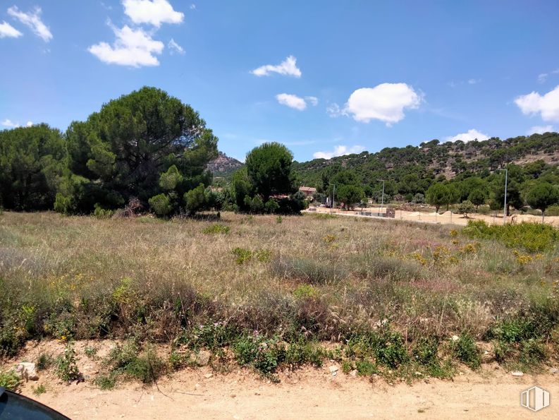 Suelo en venta en Carretera Robledo Chavela, 4, Cebreros, Ávila, 05260 con árbol, hierba, entorno natural, plantas, vegetación, ecorregión, arbusto, llano, pradera y comunidad vegetal alrededor