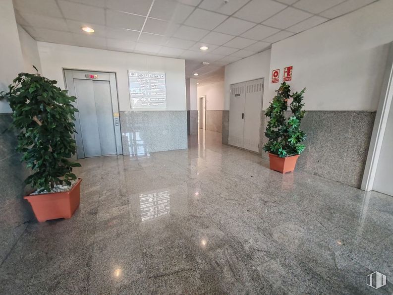 Oficina en venta en Calle La Granja, Alcobendas, Madrid, 28100 con puerta, planta de interior, maceta, planta, arquitectura, interiorismo, suelo, suelos, madera y hall alrededor