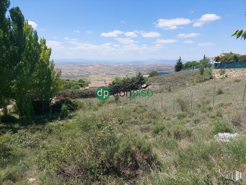 Land for sale at Urbanización mirador del Cid, Trijueque, Guadalajara, 19192 with plant, sky, cloud, natural landscape, tree, shrub, landscape, plain, mountainous landforms and grass around