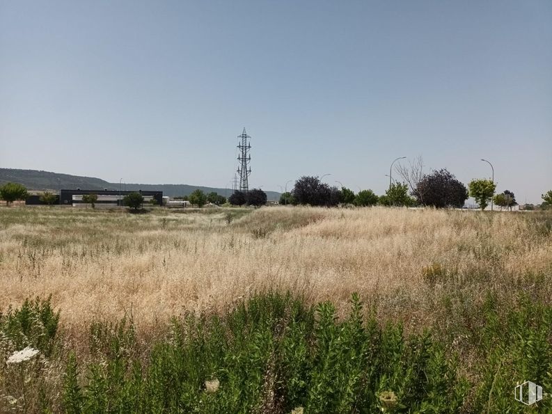 Suelo en venta en Calle Cobre, Chiloeches, Guadalajara, 19160 con cielo, planta, comunidad vegetal, paisaje natural, árbol, hierba, llano, pradera, paisaje y familia de las gramíneas alrededor