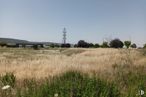 Land for sale at Calle Cobre, Chiloeches, Guadalajara, 19160 with sky, plant, plant community, natural landscape, tree, grass, plain, grassland, landscape and grass family around