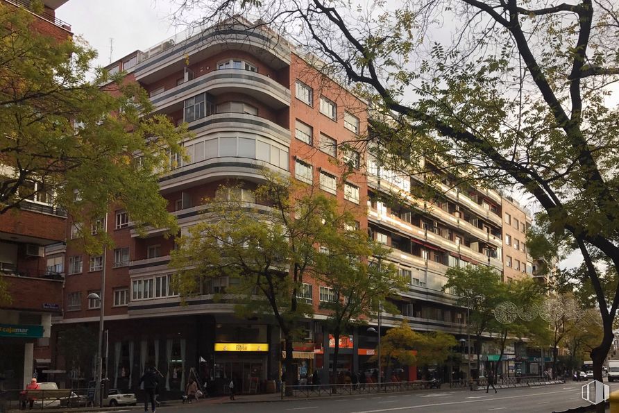 Retail for sale & for rent at Calle Manuel Luna, 1, Tetuán, Madrid, 28020 with building, property, sky, window, tree, infrastructure, architecture, tower block, urban design and condominium around