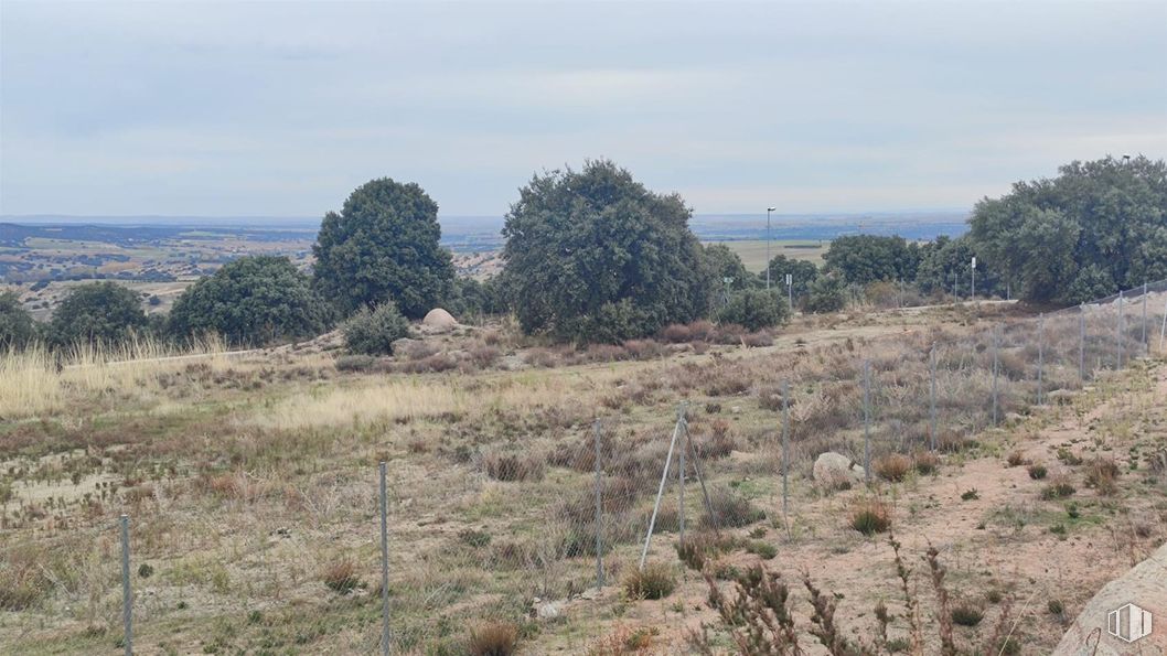 Suelo en venta en Paseo Olmos, Zarzuela del Monte, Segovia, 40152 con planta, cielo, nube, paisaje natural, árbol, arbusto, pradera, paisaje, carretera y hierba alrededor