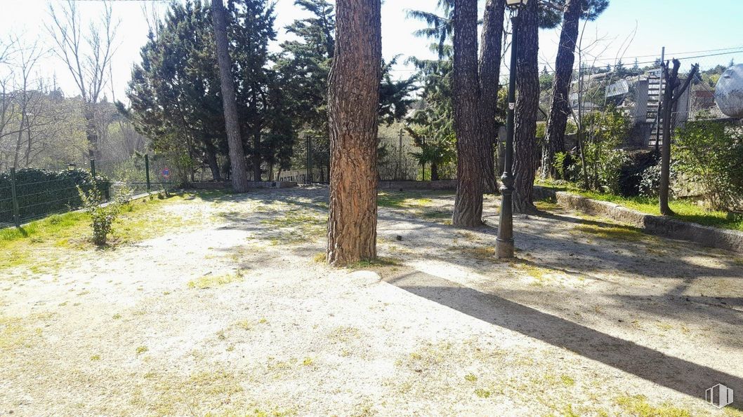 Retail for sale at Zona La Pedriza, Manzanares el Real, Madrid, 28410 with plant, sky, plant community, branch, road surface, tree, land lot, shade, trunk and natural landscape around