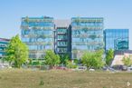 Office for rent at Edificio ARQBÓREA, Calle Quintanadueñas, 6, Fuencarral - El Pardo, Madrid, 28050 with building, sky, plant, tree, land lot, urban design, grass, condominium, tower block and residential area around