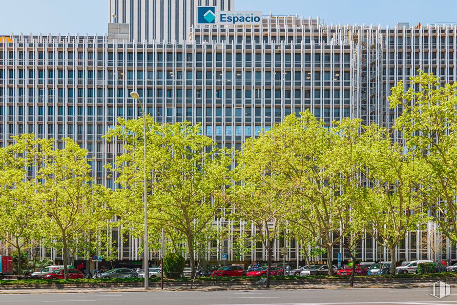 Oficina en alquiler en Paseo Castellana, 91, Tetuán, Madrid, 28046 con edificio, durante el día, diseño urbano, planta, árbol, planta leñosa, rectángulo, bloque de pisos, cielo y accesorio alrededor