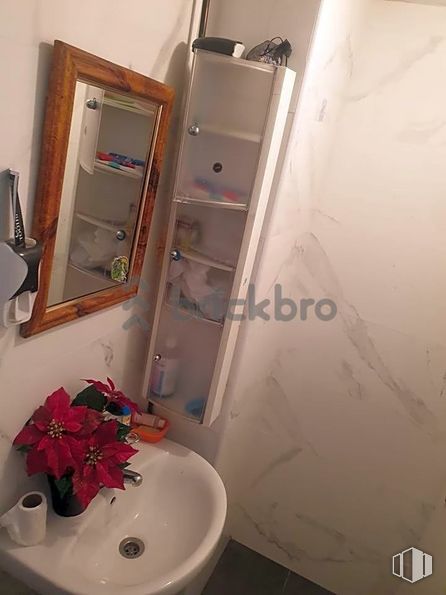 Retail for sale at Calle Zamora, Móstoles, Madrid, 28931 with sink, mirror, flower, plant, bathroom, plumbing fixture, tap, floor, building and bathroom sink around