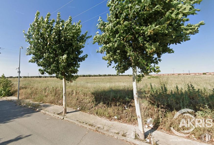 Suelo en venta en Calle San Sebastián, Chozas de Canales, Toledo, 45960 con planta, cielo, comunidad vegetal, ecorregión, rama, lote de terreno, superficie de la carretera, vegetación, árbol y paisaje alrededor