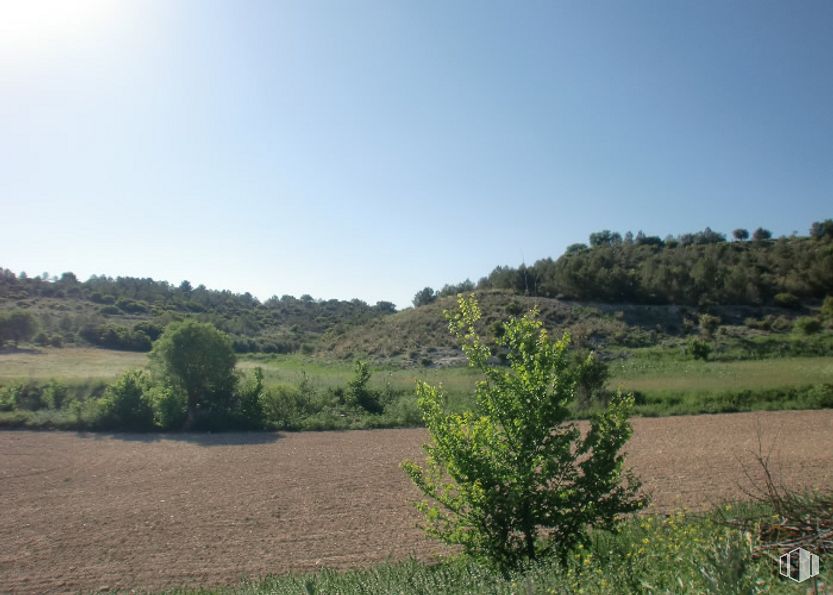 Suelo en venta en Zona Puerta de Murcia - Colegios, Ocaña, Toledo, 45300 con cielo, planta, paisaje natural, árbol, hierba, agricultura, pradera, horizonte, llano y paisaje alrededor