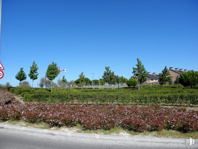 Suelo en alquiler en El Encinar, Boadilla del Monte, Madrid, 28660 con casa, planta, cielo, árbol, flor, paisaje natural, lote de tierra, vegetación, hierba y planta leñosa alrededor