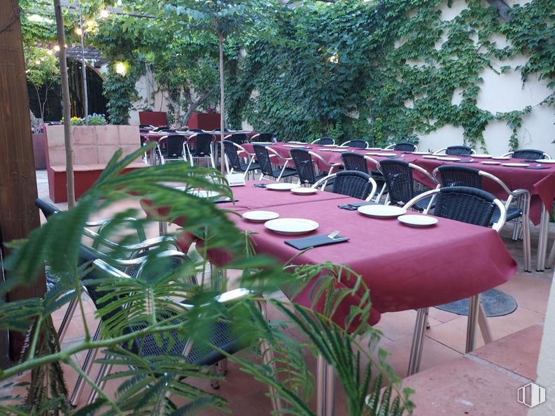 Retail for sale & for rent at Ronda Escuelas, Orgaz, Toledo, 45450 with table, houseplant, chair, table top, plant, furniture, tree, outdoor furniture, outdoor table and leisure around