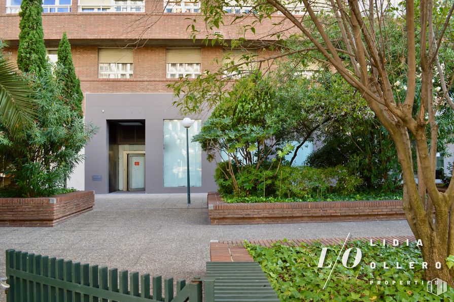 Oficina en alquiler y venta en Calle Francisco Gervás, Tetuán, Madrid, 28020 con maceta, planta, ventana, edificio, verde, mediante, árbol, lote de tierra, césped, superficie de la carretera y casa alrededor