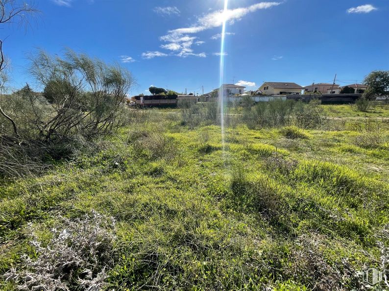 Land for sale at Calle Mártires, El Álamo, Madrid, 28607 with cloud, sky, plant, ecoregion, natural landscape, tree, land lot, street light, landscape and grassland around