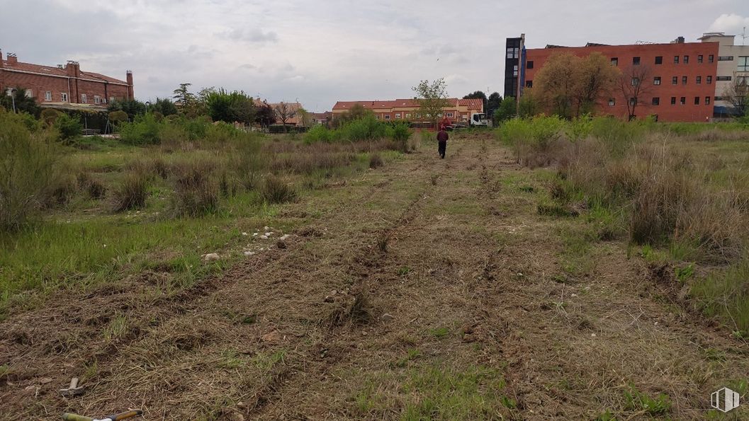 Land for sale at Calle Francisco Aritio, Guadalajara, 19004 with building, plant, sky, plant community, cloud, land lot, natural landscape, tree, grass and window around