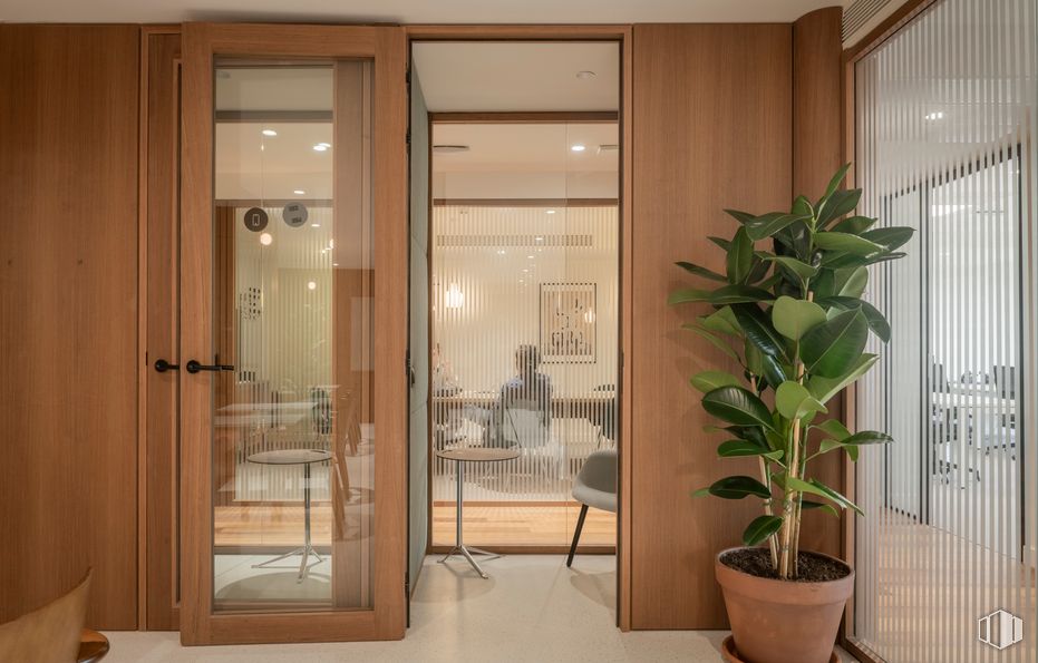 Oficina en alquiler en Calle Velázquez, 34, Salamanca, Madrid, 28001 con planta de interior, maceta, mesa, silla, edificio, propiedad, planta, diseño de interiores, puerta y madera alrededor