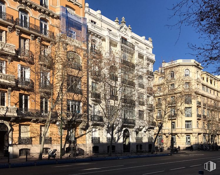 Oficina en alquiler en Calle Príncipe de Vergara, 7, Salamanca, Madrid, 28001 con edificio, ventana, cielo, árbol, rama, diseño urbano, vecindario, barrio residencial, línea y pared alrededor