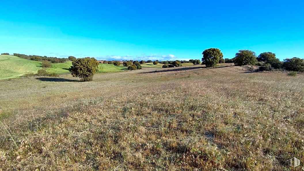 Suelo en venta en Zona La Cortanilla, Villamantilla, Madrid, 28610 con planta, cielo, paisaje natural, nube, árbol, hierba, horizonte, tintes y matices, agricultura y paisaje alrededor