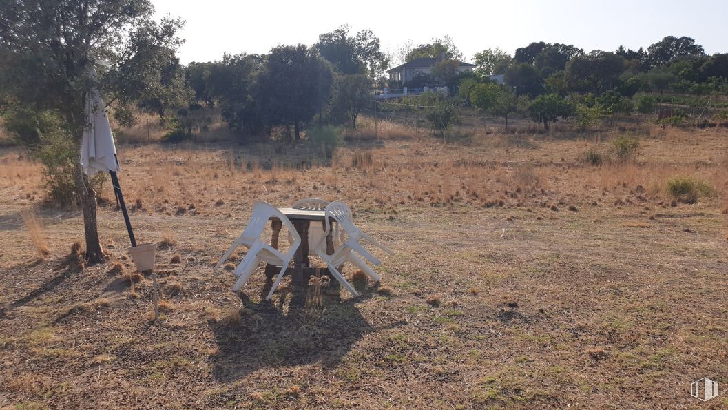 Land for sale at Zona Escalona, Escalona, Toledo, 45910 with plant community, sky, tree, plant, wood, vegetation, working animal, natural landscape, grass and landscape around