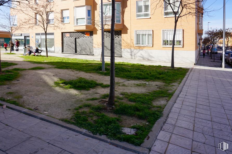 Local en alquiler y venta en Calle Beatriz Galindo, 7, San Sebastián de los Reyes, Madrid, 28700 con edificio, planta, ventana, cielo, árbol, superficie de la carretera, rama, diseño urbano, vía pública y asfalto alrededor