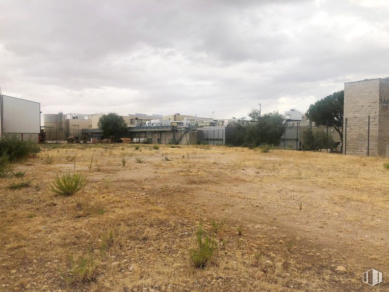 Suelo en venta en Carretera Ajalvir, Alcalá de Henares, Madrid, 28806 con edificio, nube, cielo, planta, árbol, paisaje natural, pradera, llano, paisaje y carretera alrededor