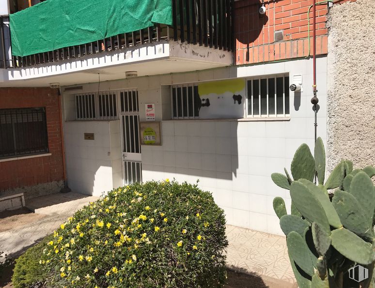 Oficina en alquiler en Calle Ventosilla, 19, San Agustín del Guadalix, Madrid, 28750 con planta, ventana, flor, propiedad, edificio, arquitectura, amarillo, sombra, vecindario y pared alrededor