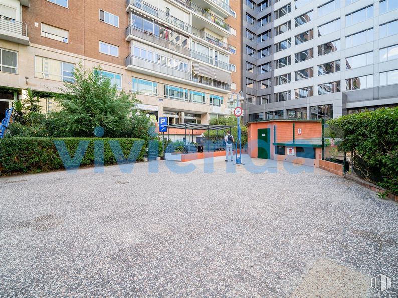 Oficina en venta en Paseo Castellana, Tetuán, Madrid, 28046 con edificio, planta, propiedad, ventana, diseño urbano, superficie de la carretera, condominio, árbol, barrio y bloque de pisos alrededor